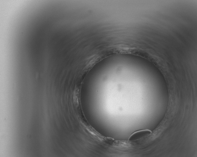 X0000080110768200612221804