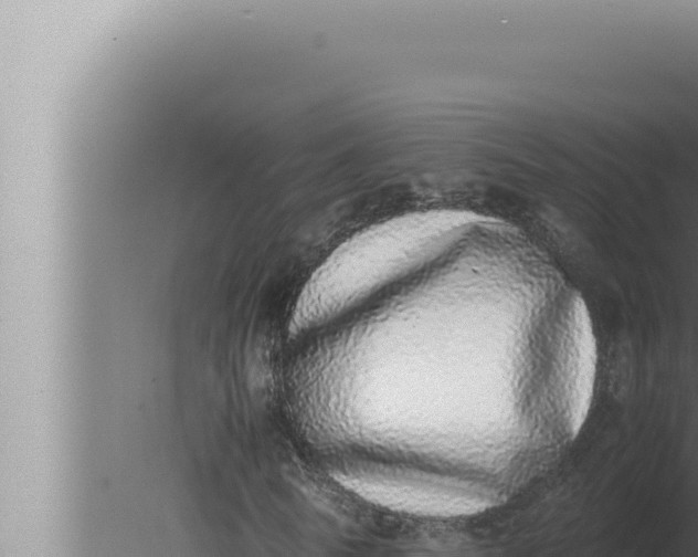 X0000080110770200612221804