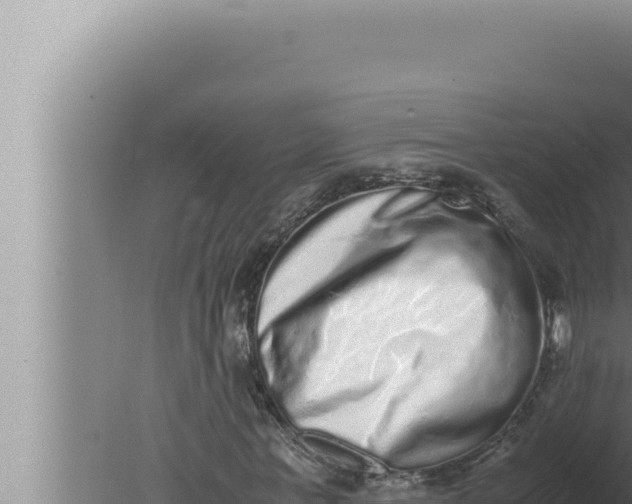 X0000080110771200612221804