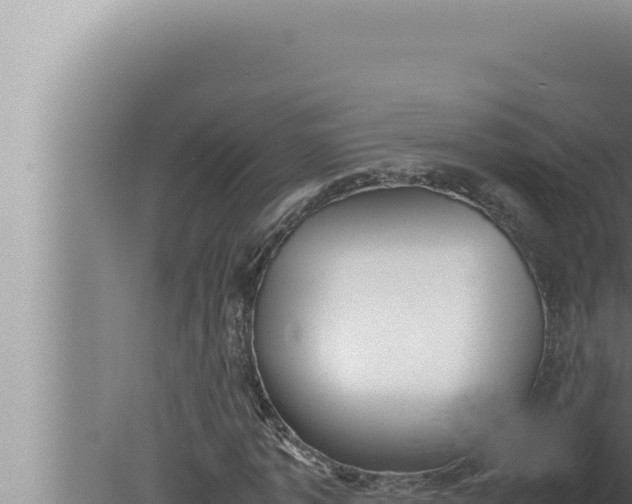 X0000080110773200612221804