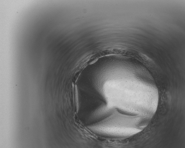 X0000080110774200612221804