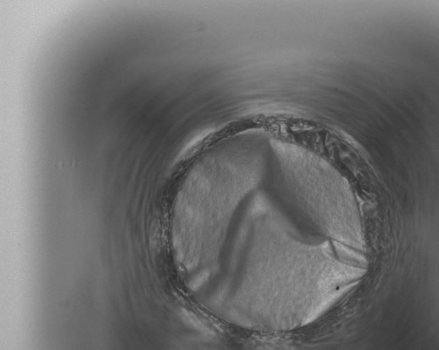 X0000080110775200612221804