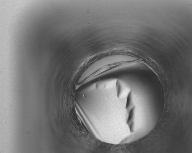 X0000080110776200612221804