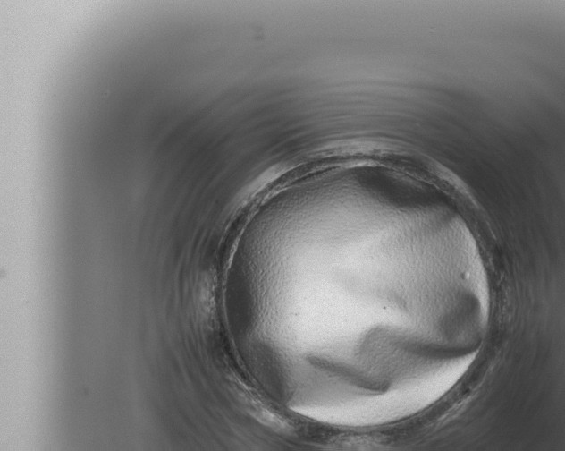 X0000080110778200612221803