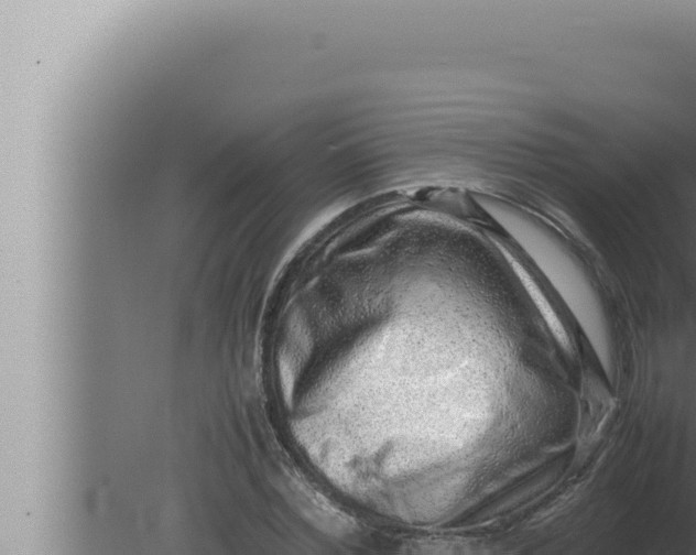 X0000080110780200612221803