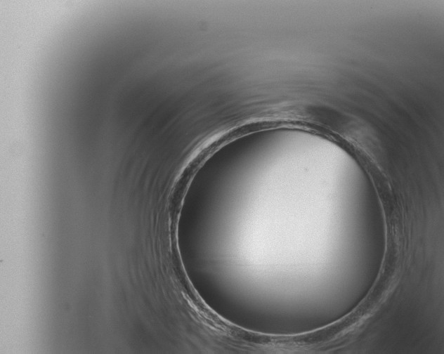 X0000080110781200612221803