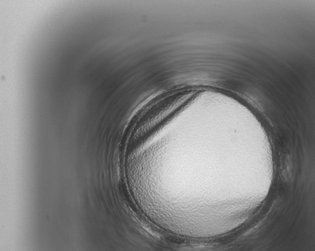 X0000080110782200612221803