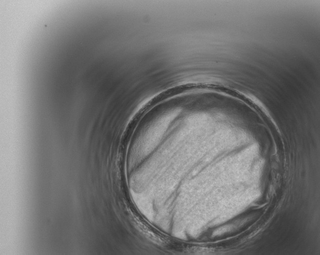 X0000080110783200612221803