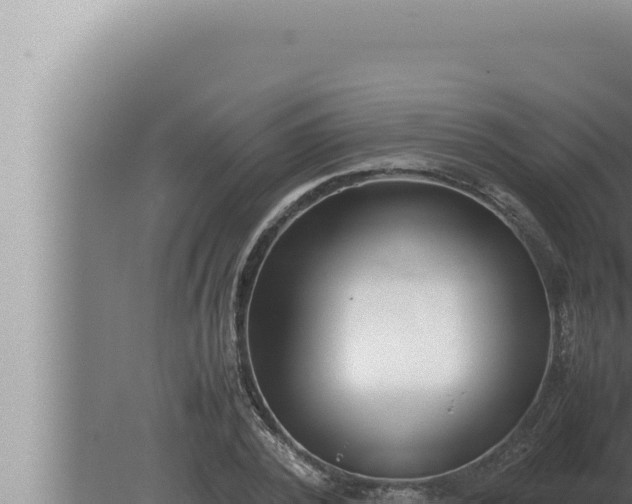 X0000080110784200612221803