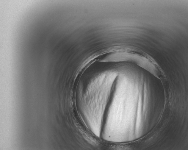 X0000080110786200612221803