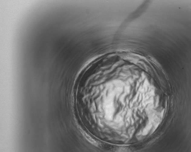 X0000080110787200612221803