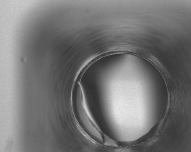 X0000080110788200612221803