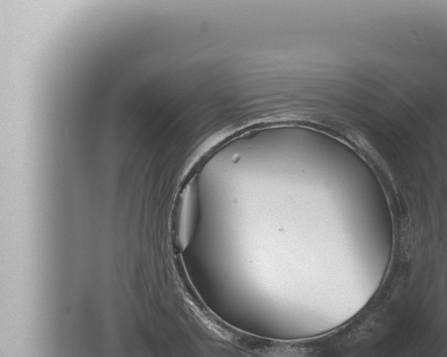 X0000080110789200612221803