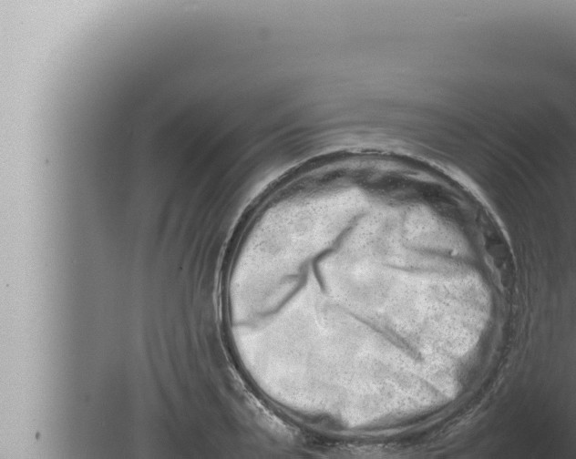 X0000080110791200612221803