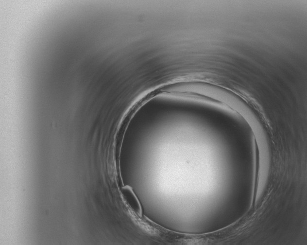 X0000080110792200612221803