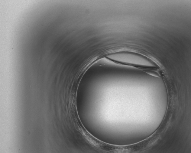 X0000080110793200612221803