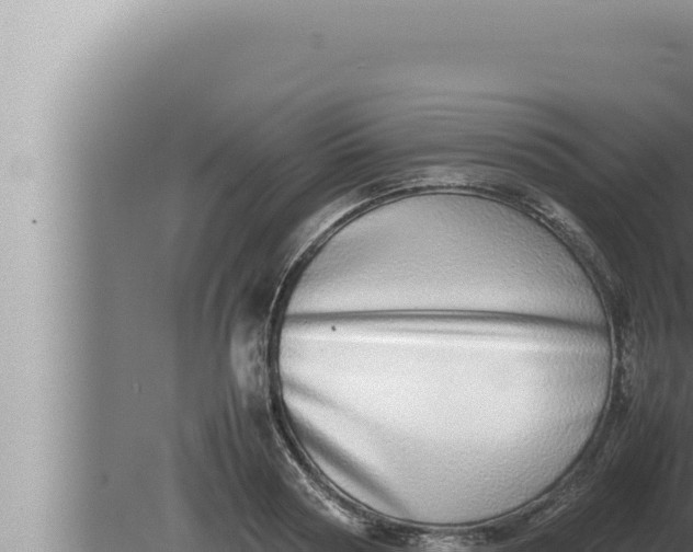 X0000080110794200612221803