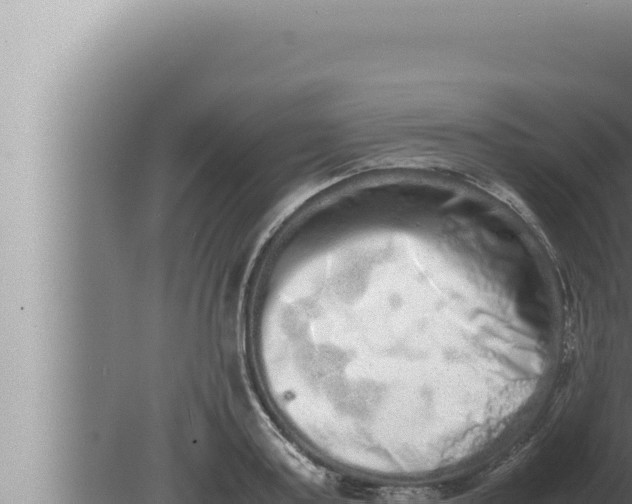 X0000080110795200612221803