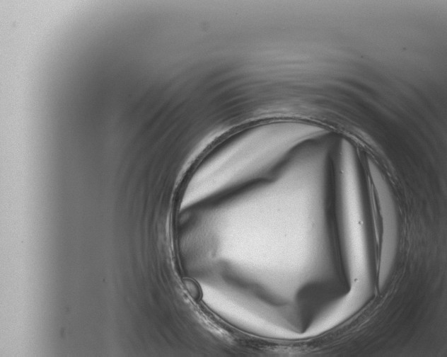 X0000080110796200612221803