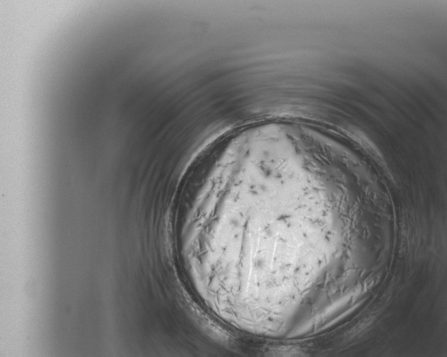 X0000080110798200612221803