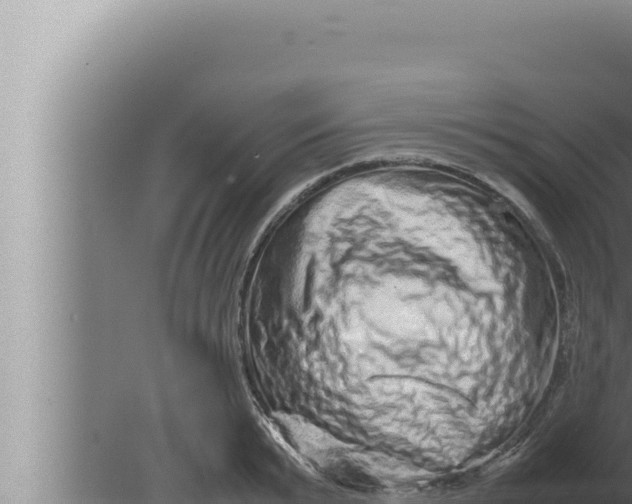 X0000080110799200612221803