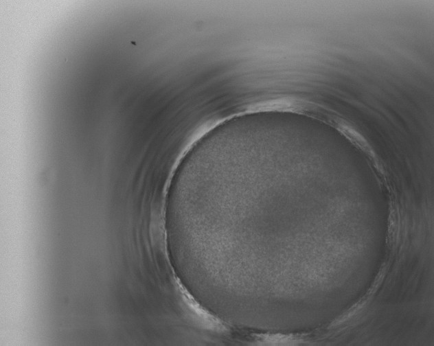 X0000080110800200612221803