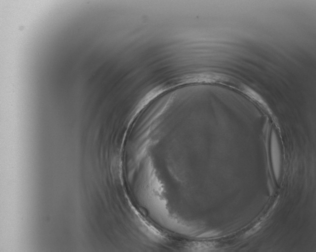 X0000080110802200612221803