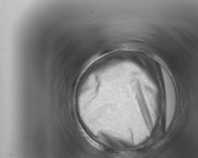 X0000080110803200612221803