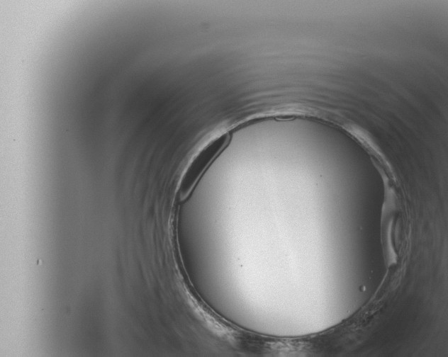 X0000080110805200612221803