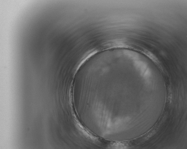 X0000080110806200612221803