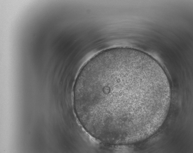 X0000080110807200612221803