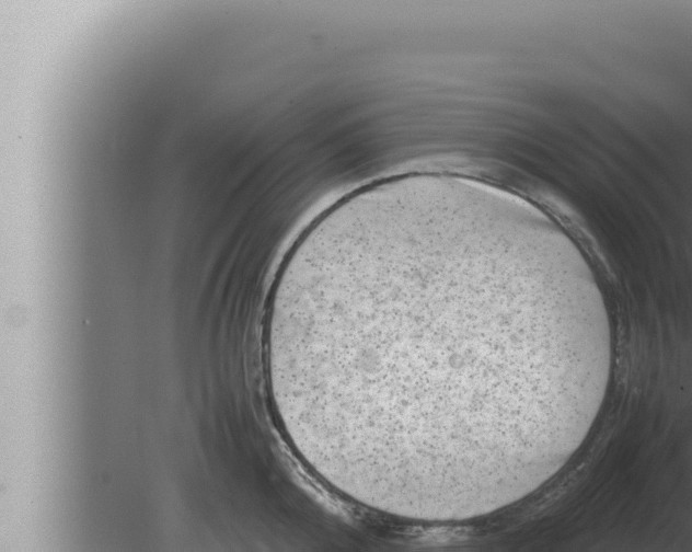 X0000080110808200612221803