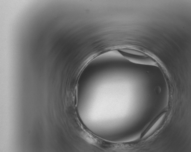 X0000080110809200612221803