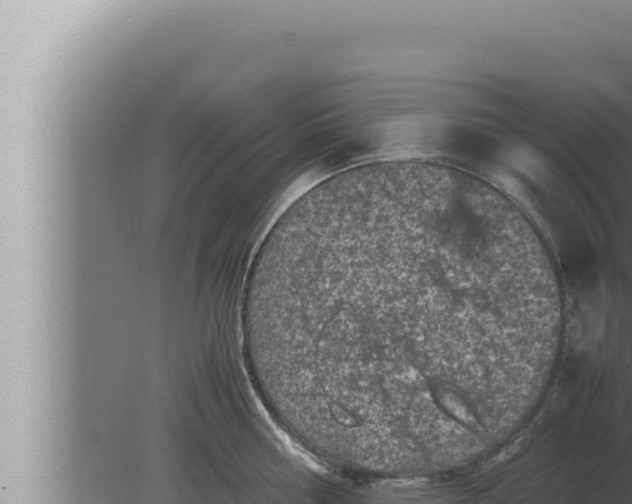 X0000080110810200612221803