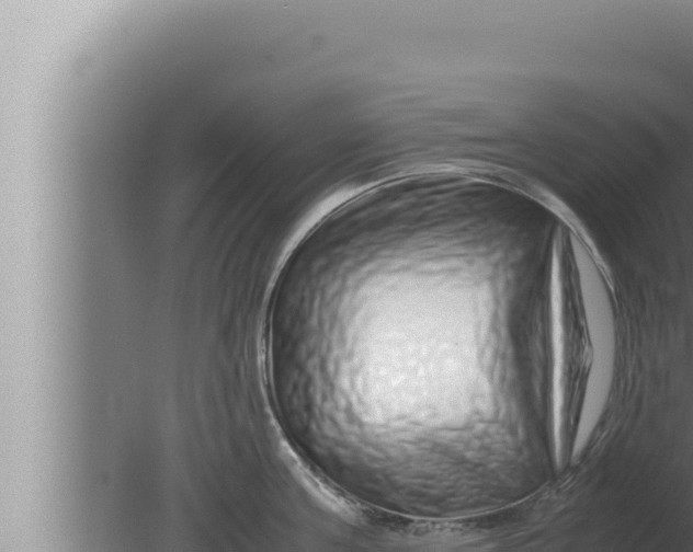 X0000080110811200612221803