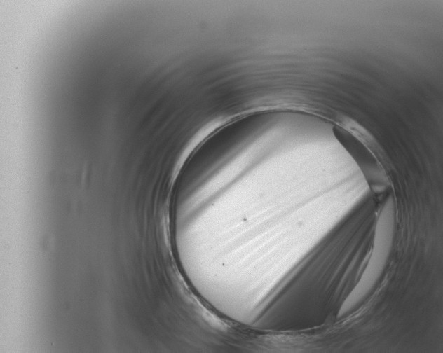 X0000080110812200612221803