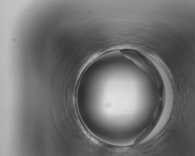 X0000080110813200612221803