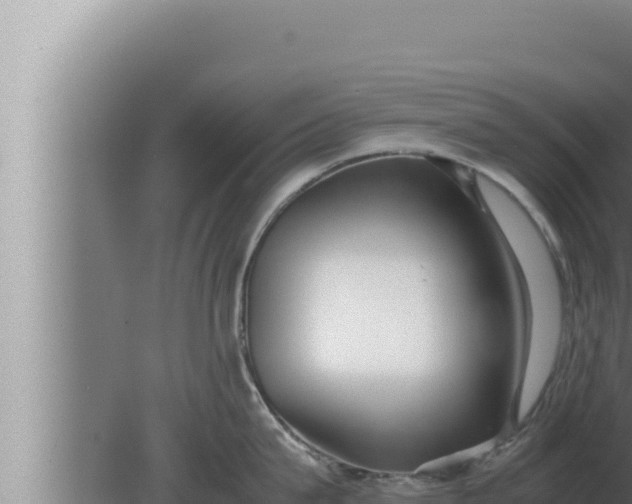 X0000080110815200612221803