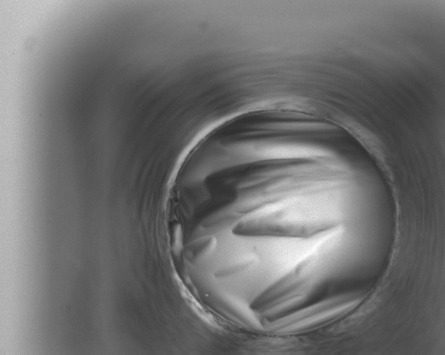 X0000080110816200612221803