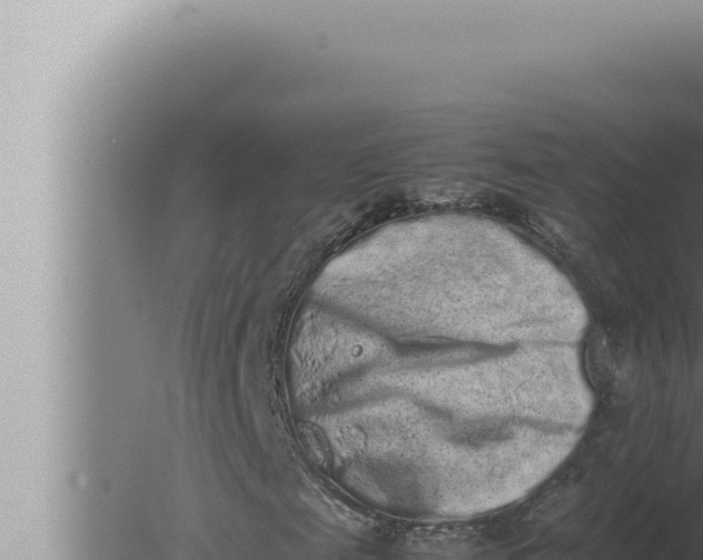 X0000080110817200612221802