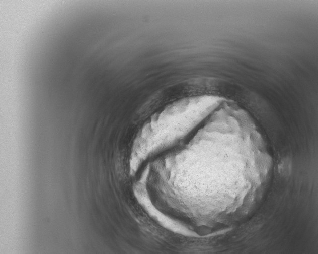 X0000080110819200612221802