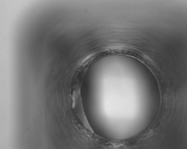 X0000080110822200612221802