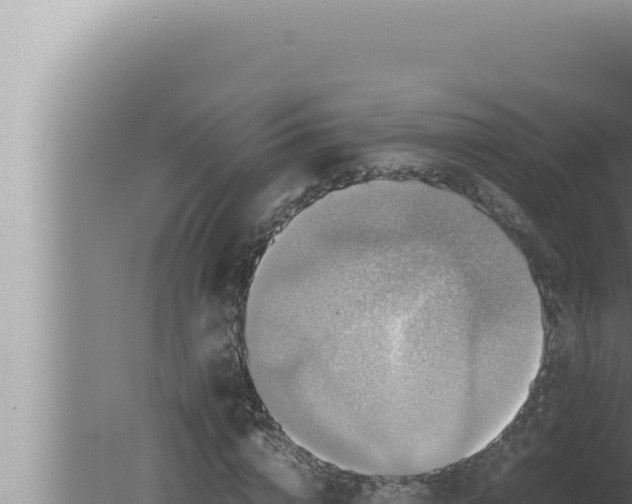 X0000080110824200612221802