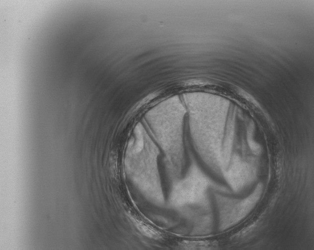 X0000080110825200612221802