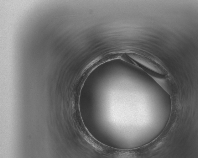 X0000080110826200612221802