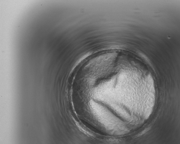 X0000080110827200612221802