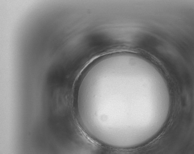 X0000080110828200612221802