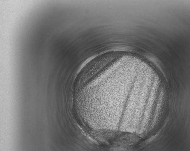 X0000080110829200612221802