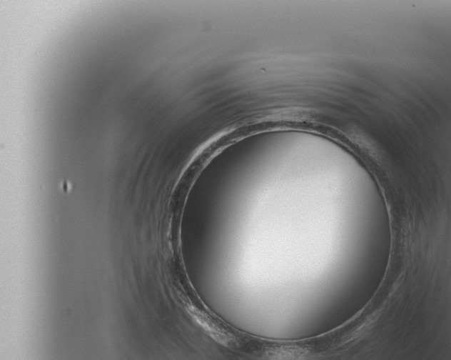 X0000080110830200612221802