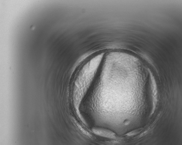 X0000080110831200612221802